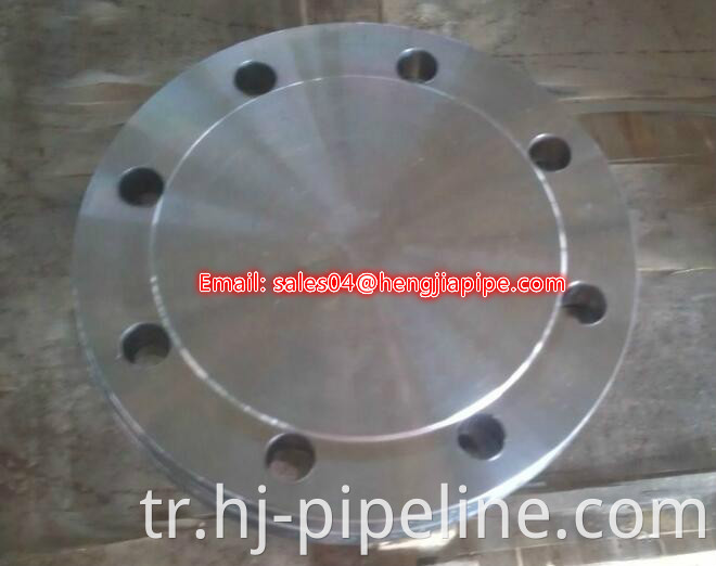 standard forged blind flange